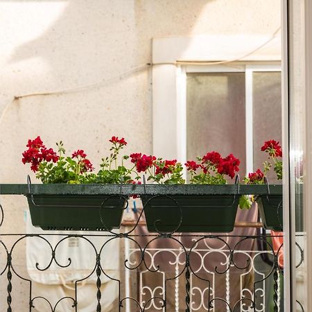 Arrabida House Apartman Setúbal Kültér fotó